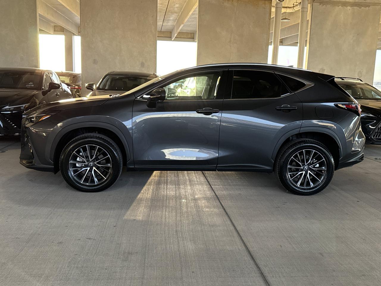 2026 Lexus NX