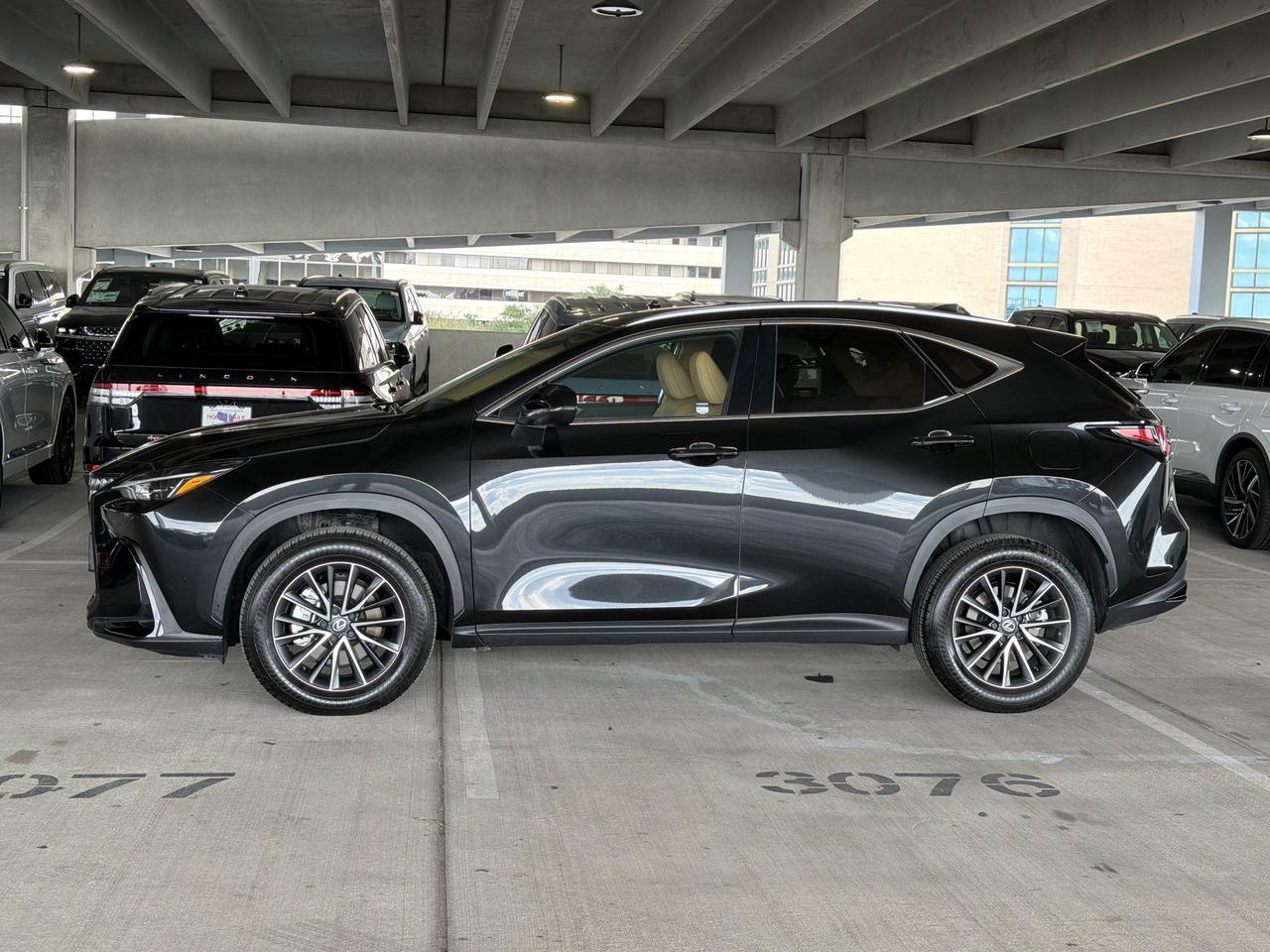 2026 Lexus NX