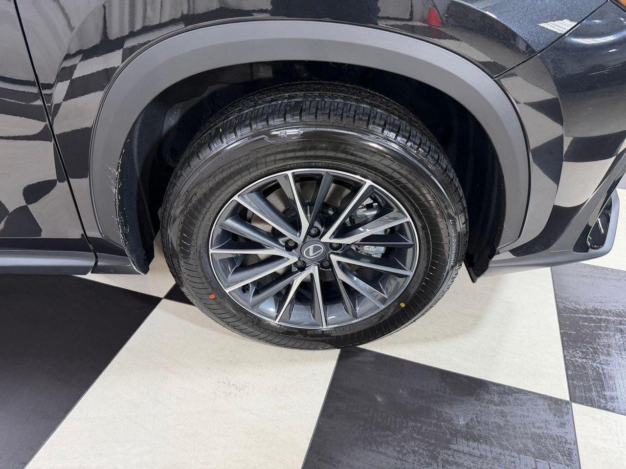 2026 Lexus NX 350 Premium Annapolis MD
