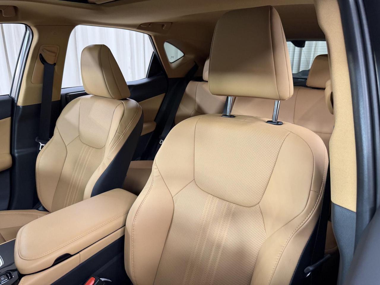 2026 Lexus NX 350 Premium Annapolis MD