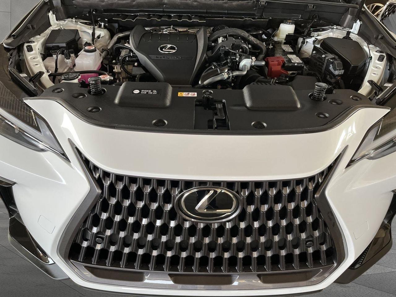 2026 Lexus NX 350 San Antonio TX