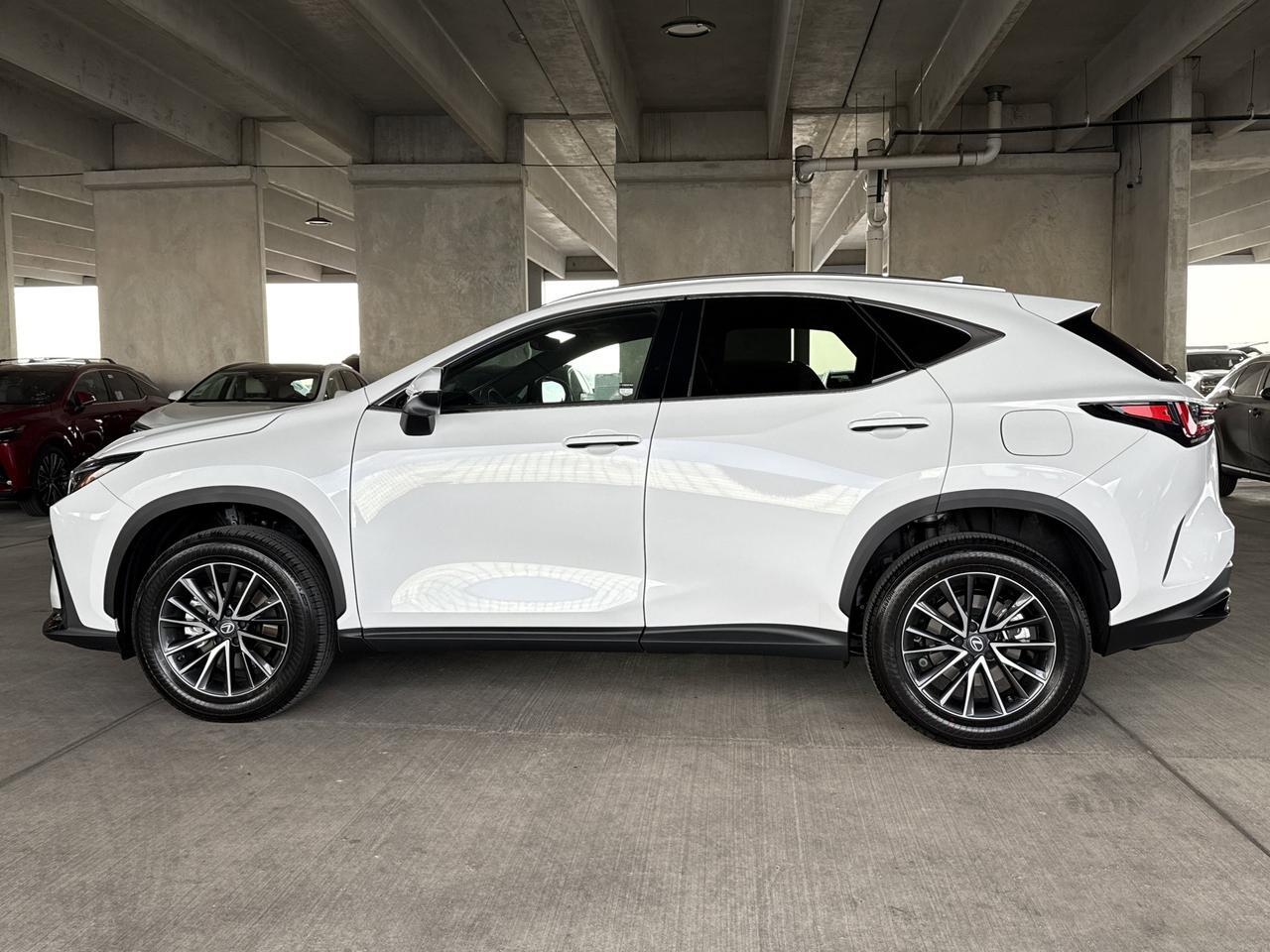2026 Lexus NX 350 San Antonio TX