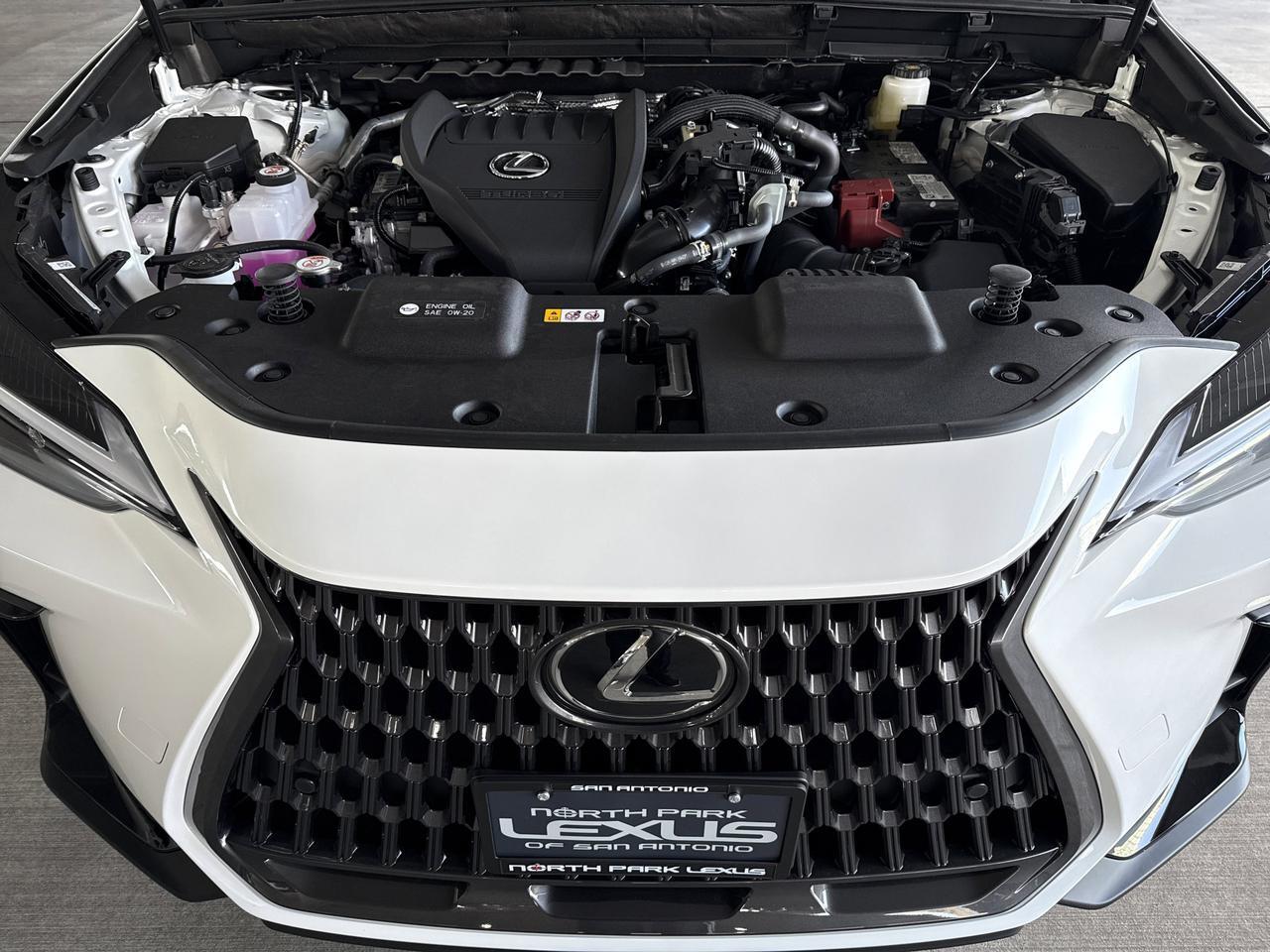 2026 Lexus NX 350 San Antonio TX