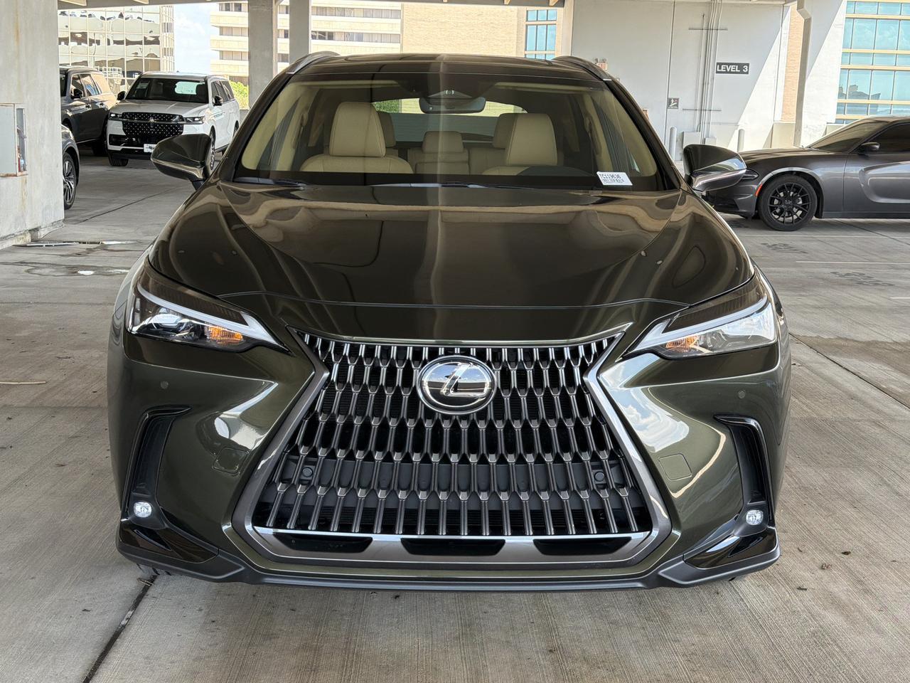 2026 Lexus NX 350 San Antonio TX