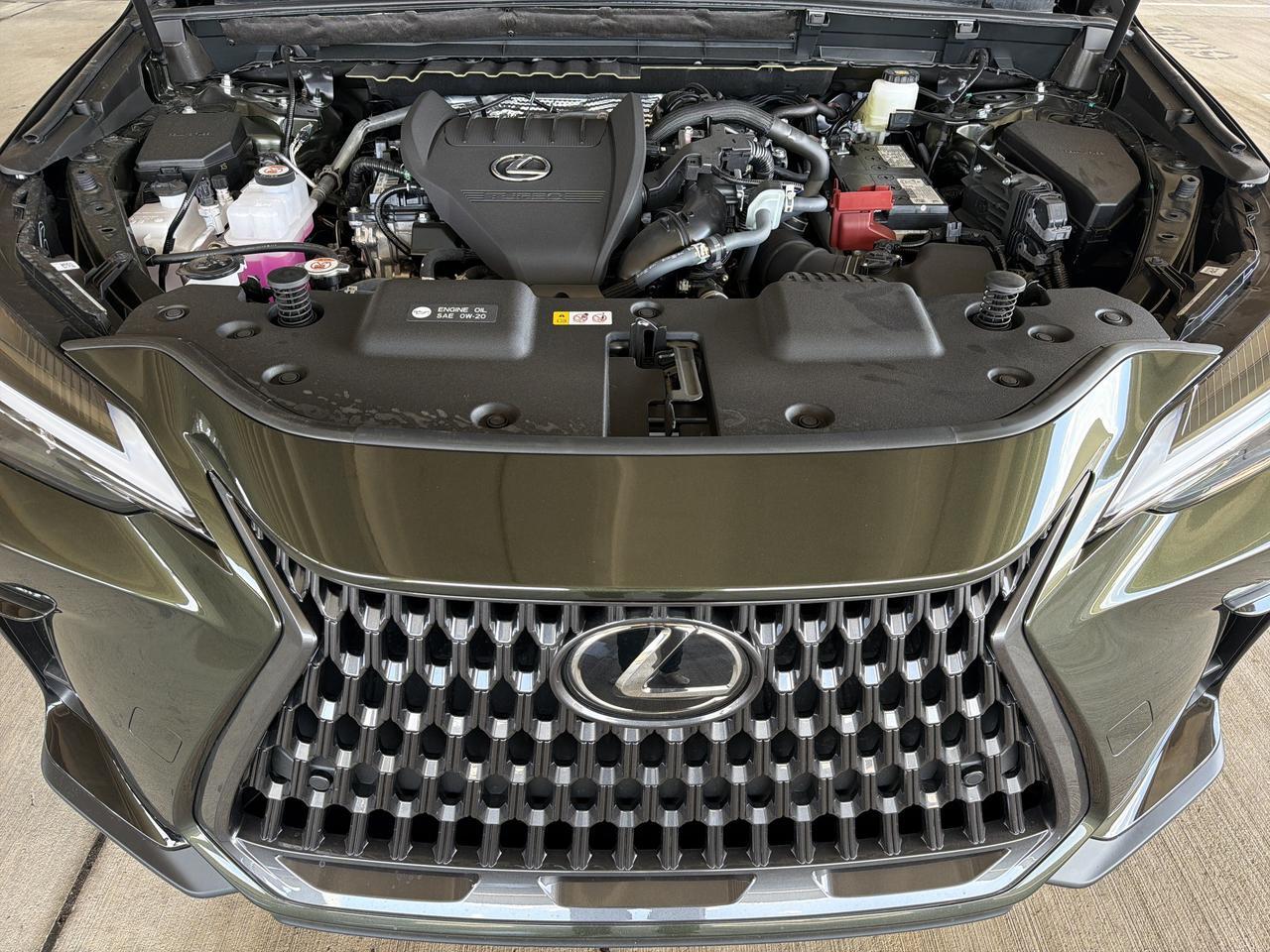 2026 Lexus NX 350 San Antonio TX