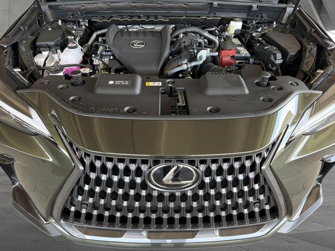 2026 Lexus NX 350 San Antonio TX