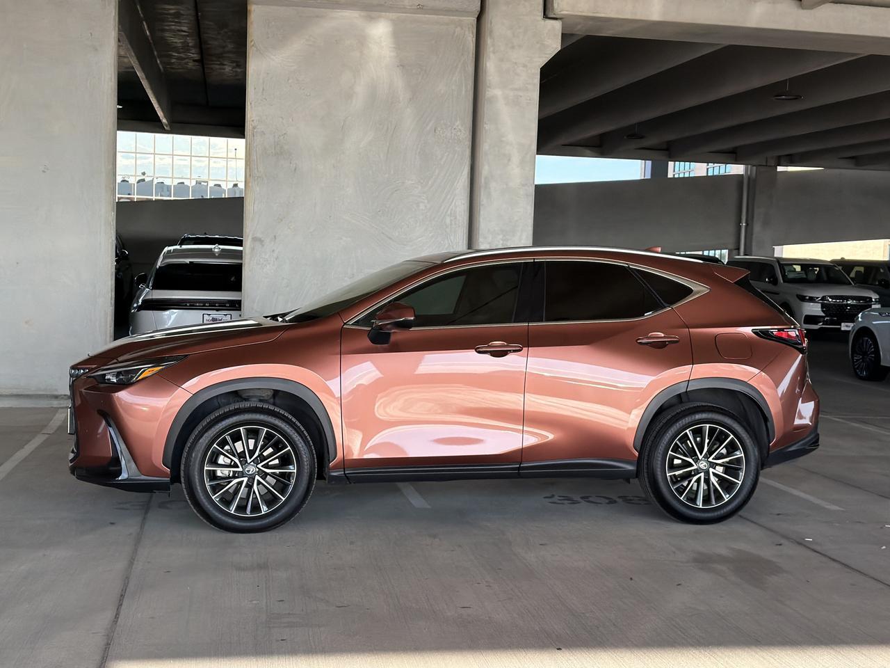 2026 Lexus NX