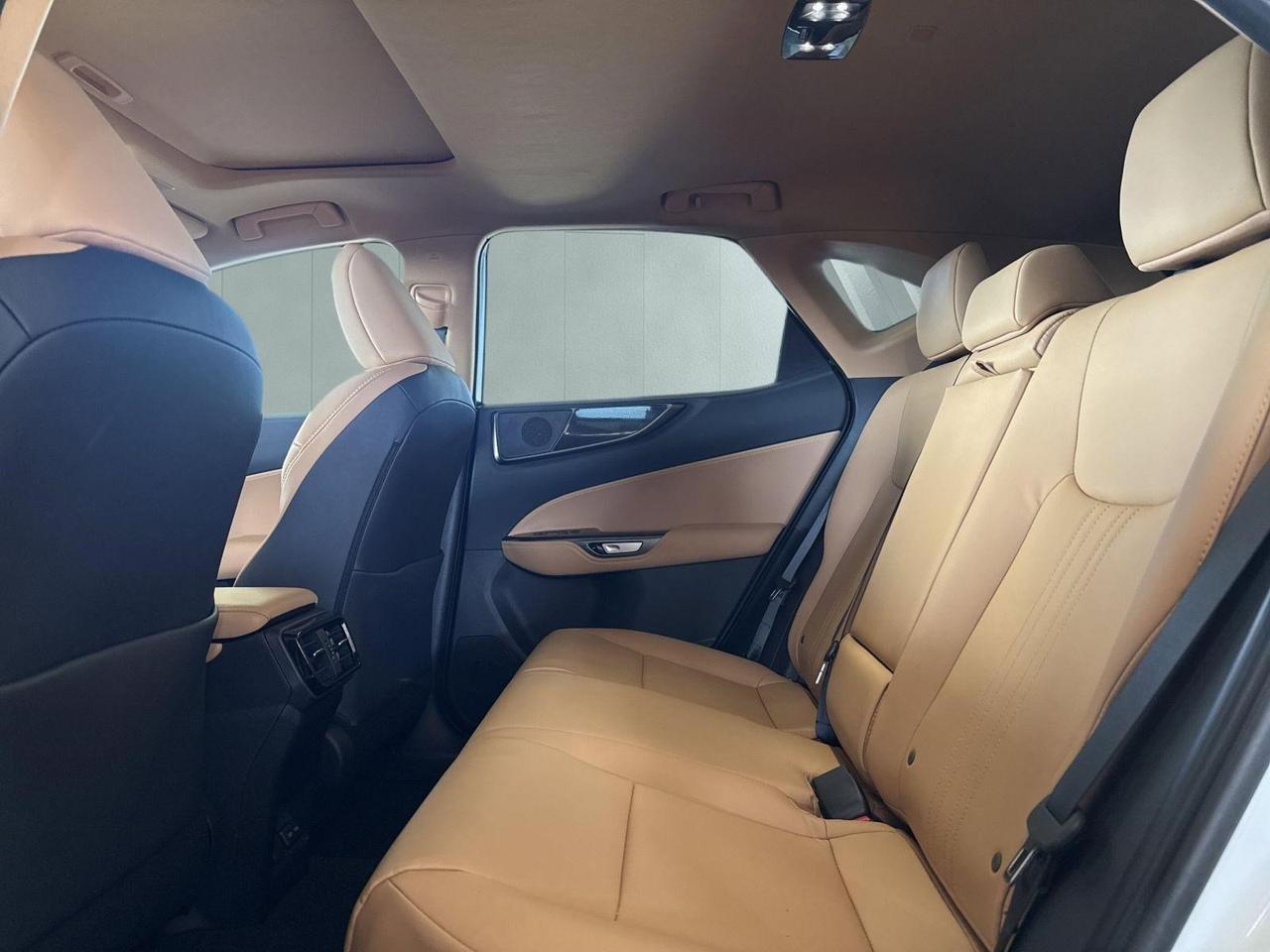 2026 Lexus NX 350 San Antonio TX