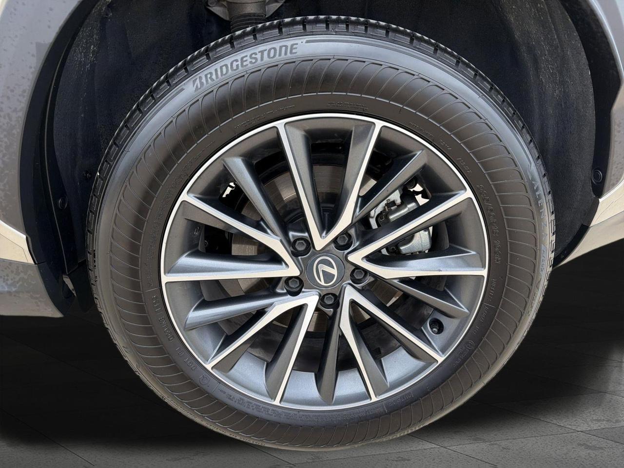 2026 Lexus NX 350 San Antonio TX