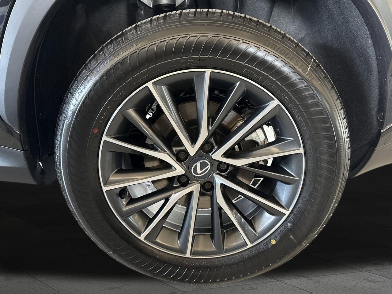 2026 Lexus NX 350 San Antonio TX