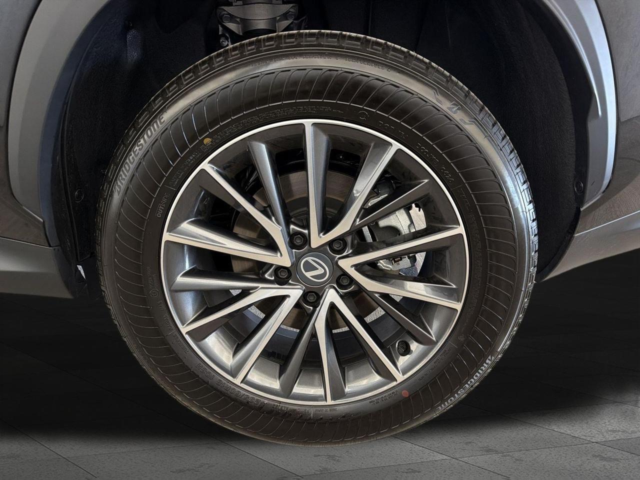 2026 Lexus NX 350 San Antonio TX