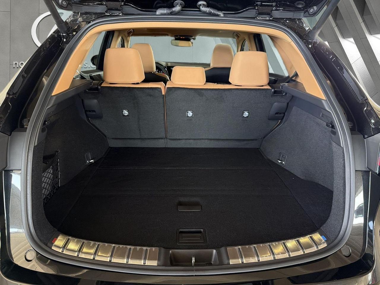 2026 Lexus NX 350 San Antonio TX