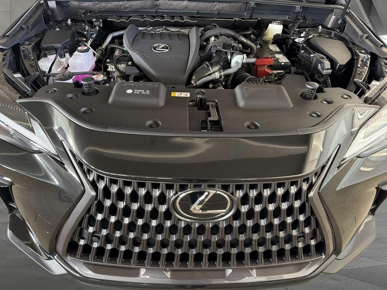 2026 Lexus NX 350 San Antonio TX