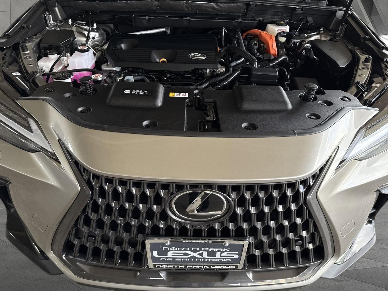 2026 Lexus NX 350h Luxury San Antonio TX
