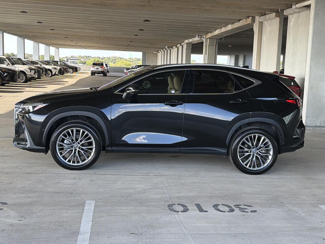 2026 Lexus NX