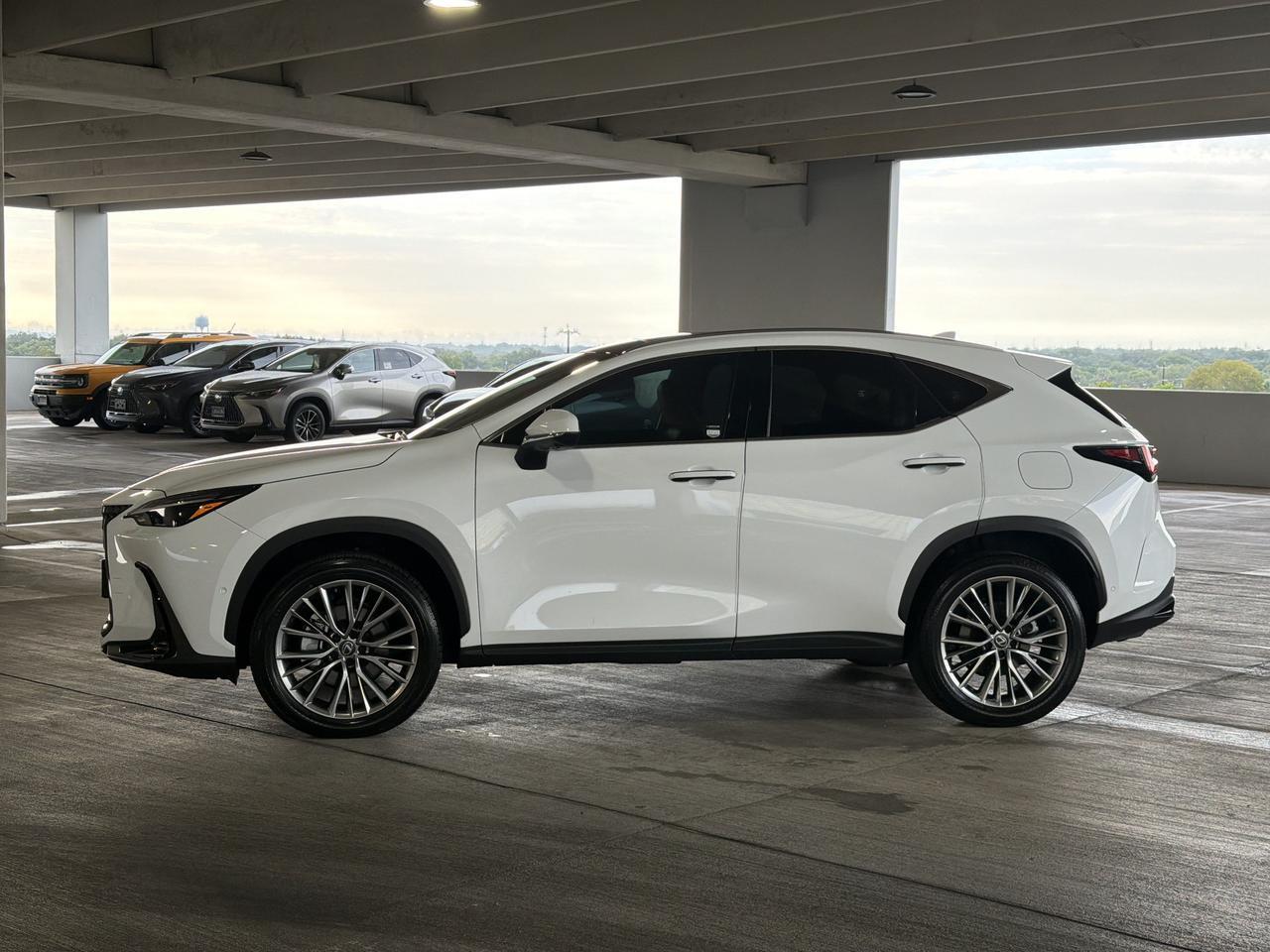 2026 Lexus NX 350h Luxury