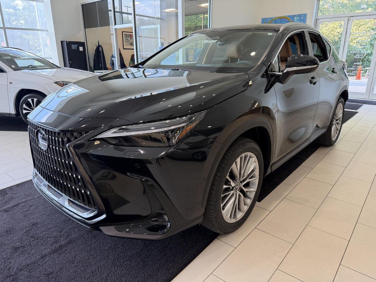 2026 Lexus NX 350h Luxury Annapolis MD