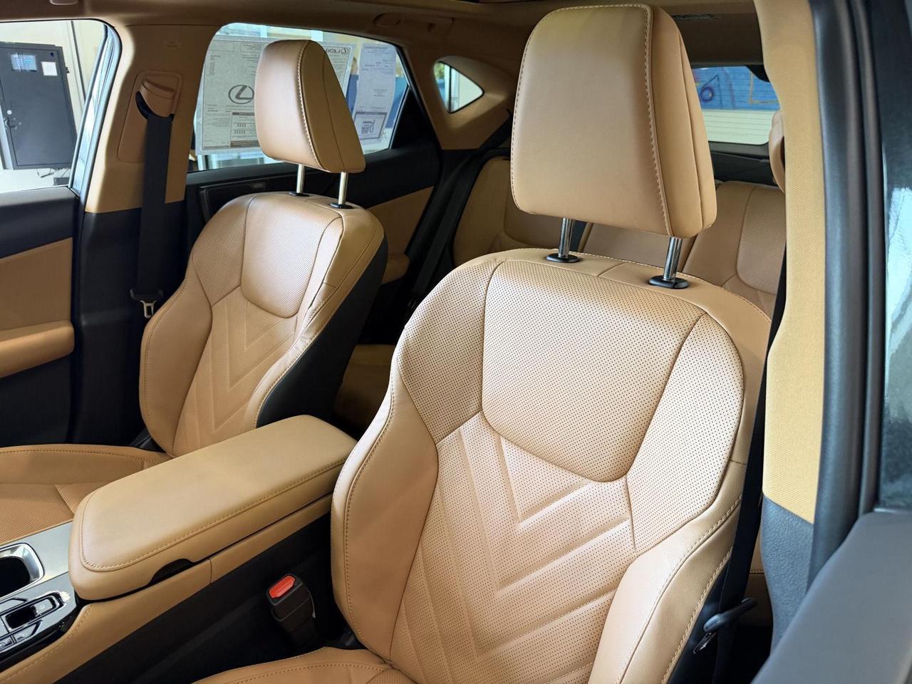 2026 Lexus NX 350h Luxury Annapolis MD