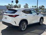 2026 Lexus NX 350h Premium San Diego County CA