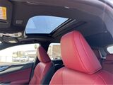 2026 Lexus NX 350h Premium San Diego County CA