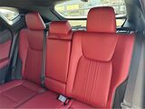 2026 Lexus NX 350h Premium San Diego County CA