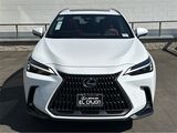 2026 Lexus NX 350h Premium San Diego County CA