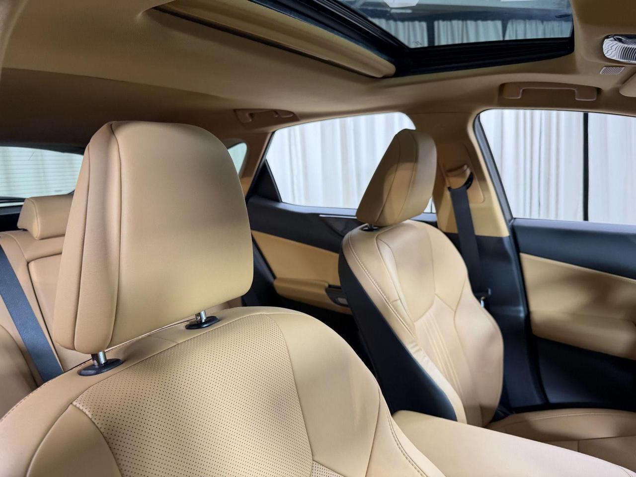 2026 Lexus NX 350h Premium Annapolis MD