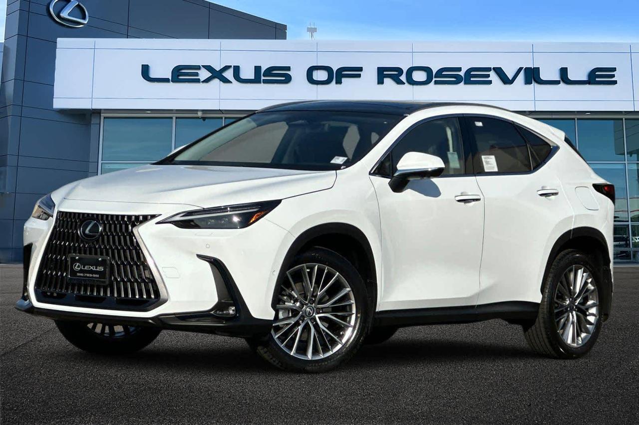 2026 Lexus NX Luxury