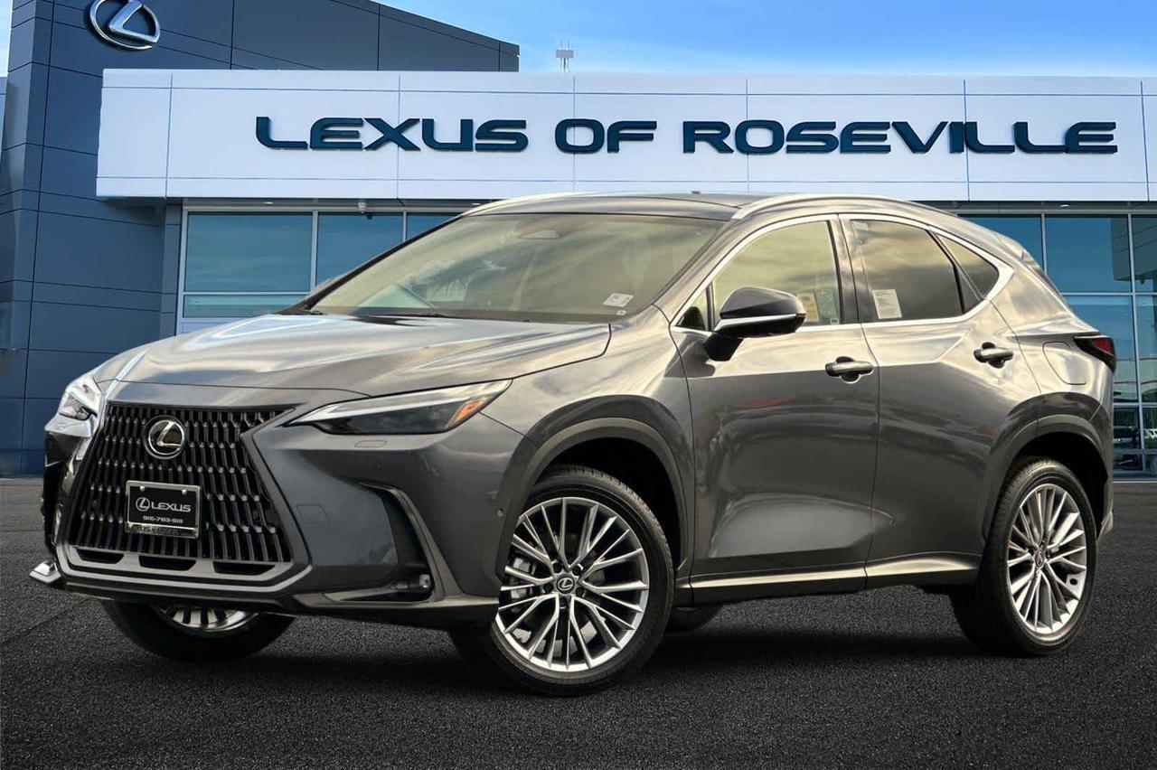 2026 Lexus NX Luxury