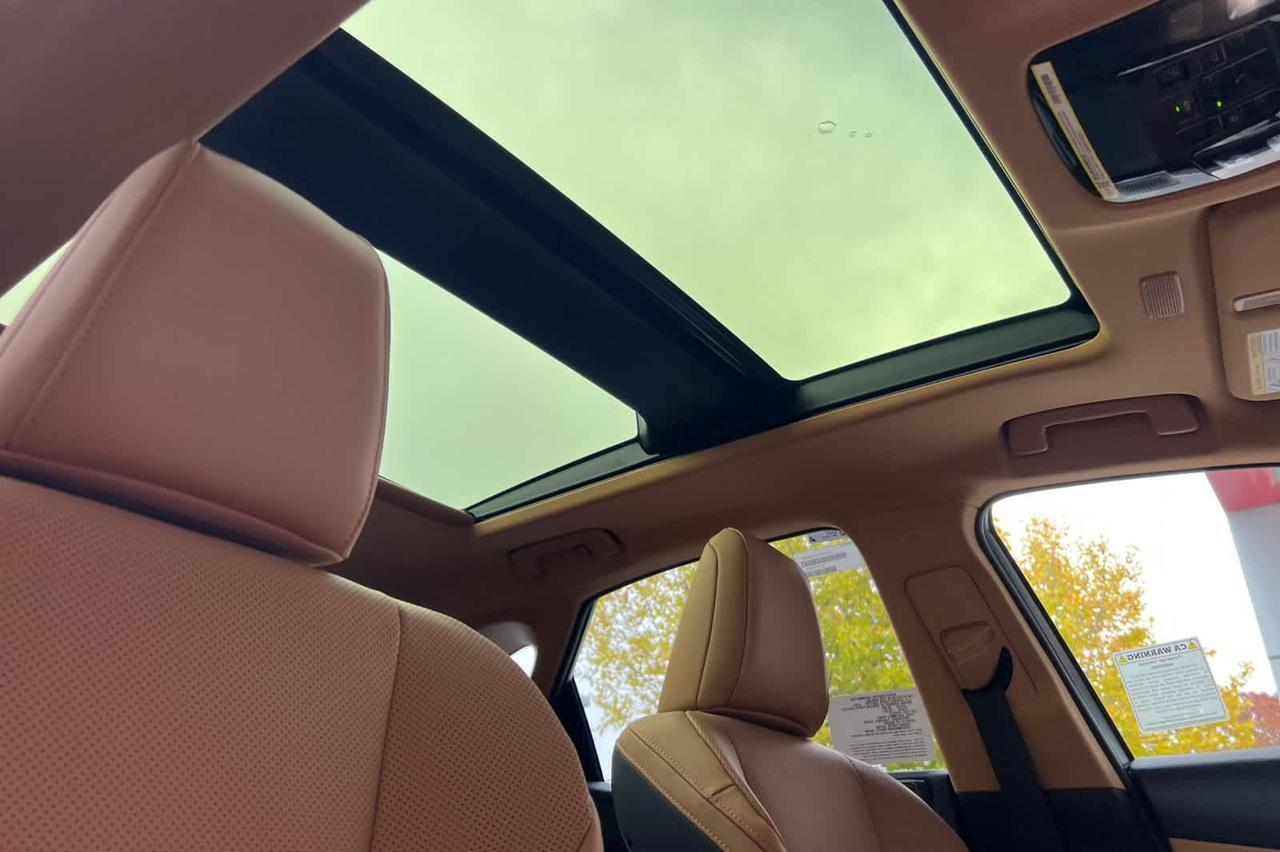 2026 Lexus NX Luxury Roseville CA