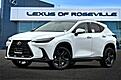 2026 Lexus NX Luxury