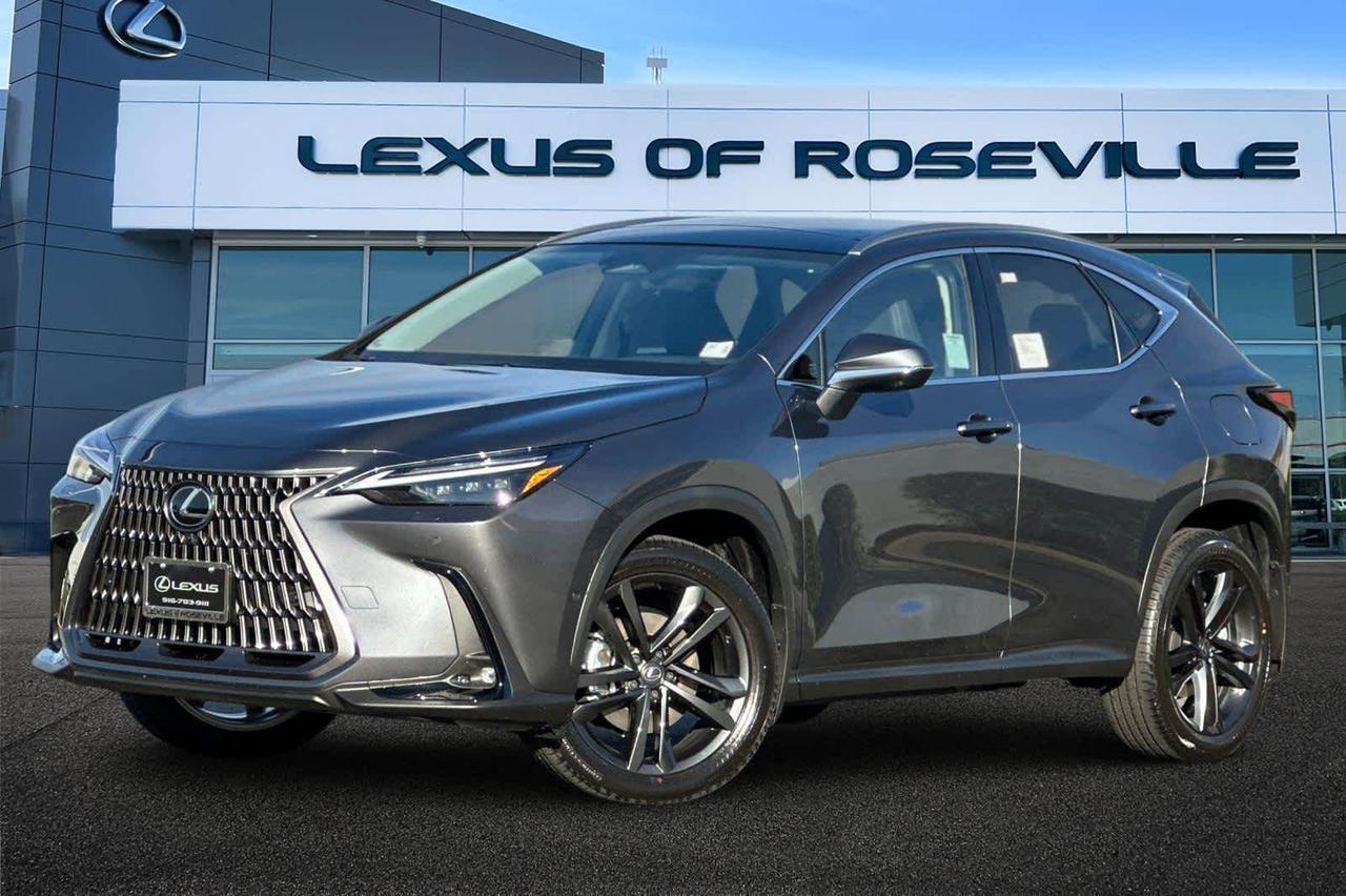 2026 Lexus NX Luxury