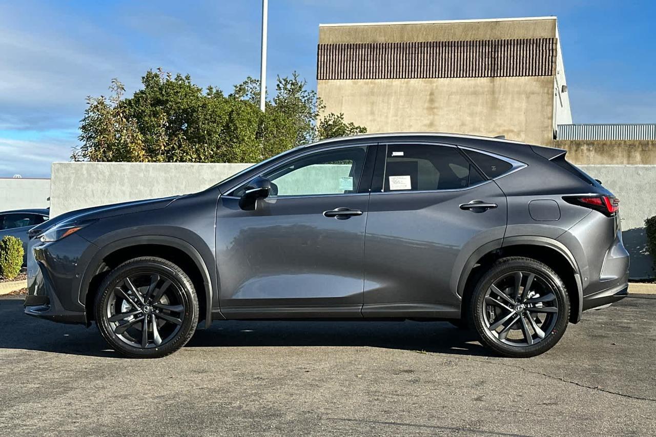 2026 Lexus NX Luxury Roseville CA