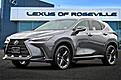 2026 Lexus NX Luxury