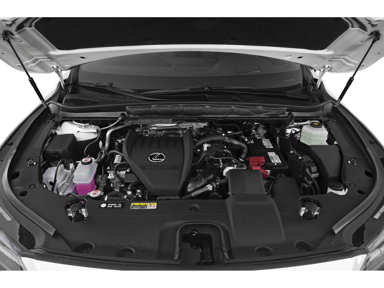 2026 Lexus RX 350 LUXURY AWD Annapolis MD