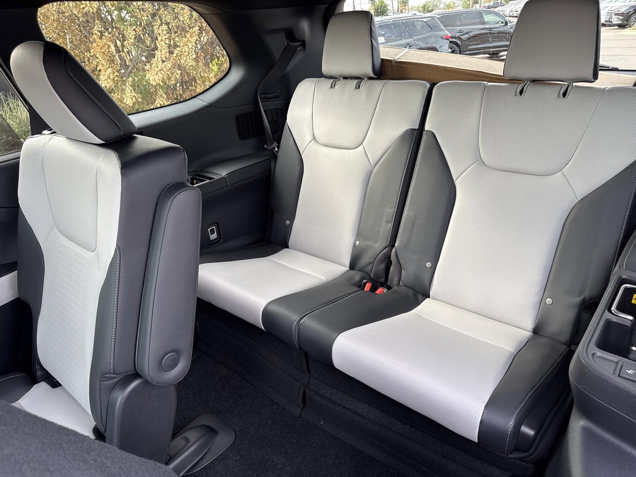 2026 Lexus TX San Juan TX