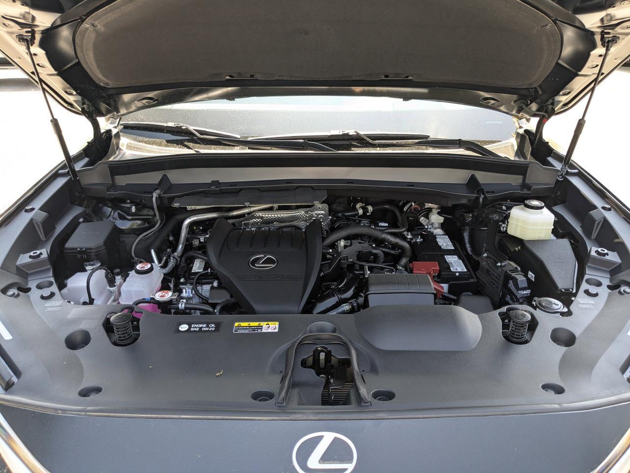 2026 Lexus TX 350 Luxury San Antonio TX