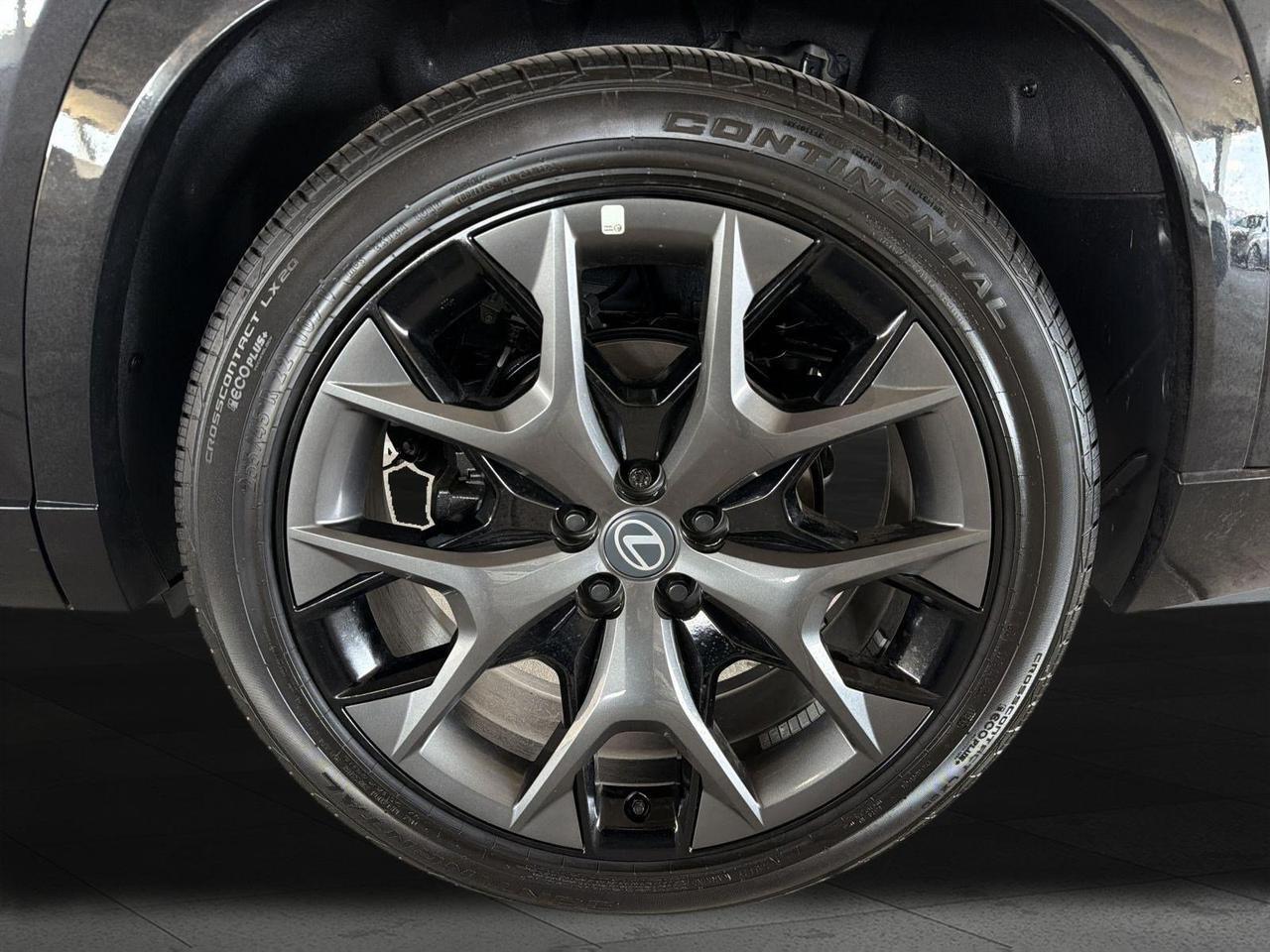 2026 Lexus TX 500h F SPORT Performance Premium San Antonio TX
