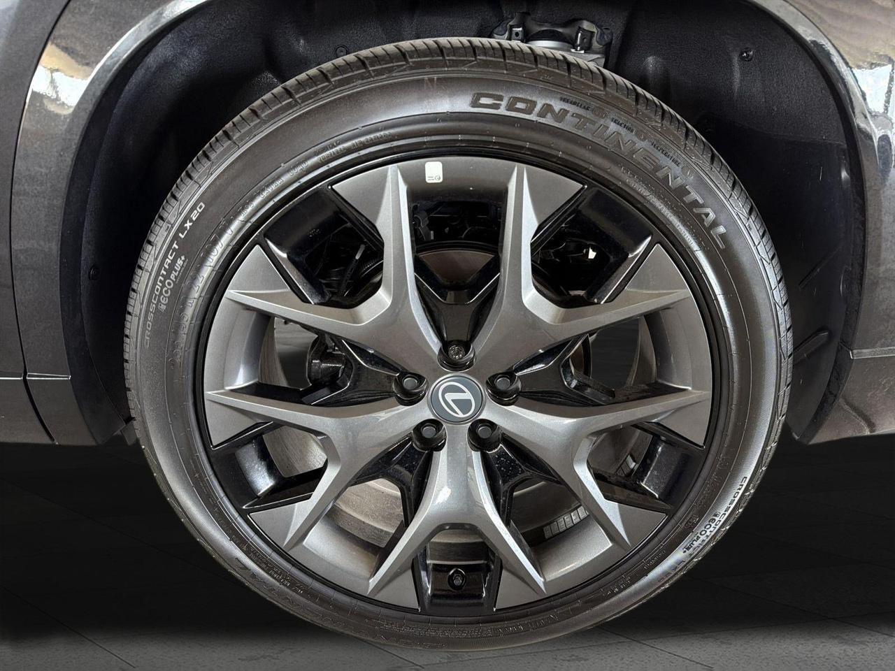 2026 Lexus TX 500h F SPORT Performance Premium San Antonio TX