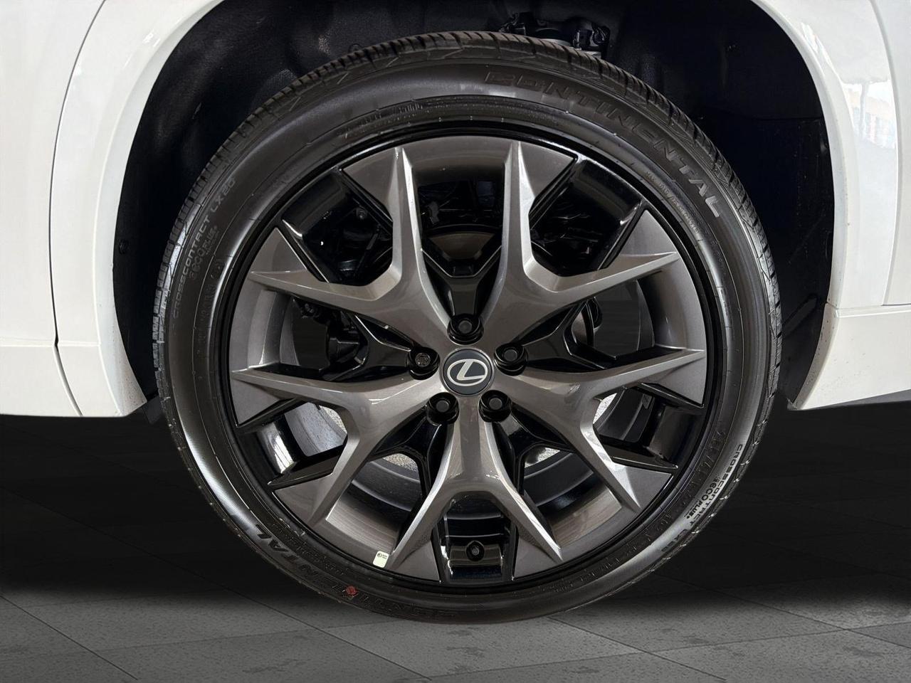 2026 Lexus TX 500h F SPORT Performance Premium San Antonio TX