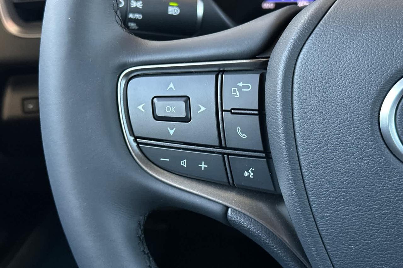 2026 Lexus UX 300h Roseville CA