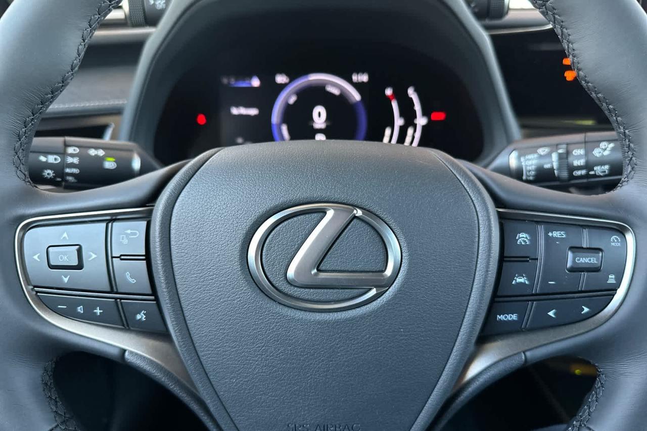 2026 Lexus UX 300h Roseville CA