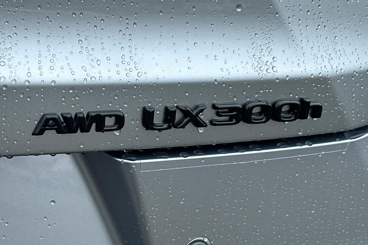 2026 Lexus UX 300h F SPORT Design Roseville CA
