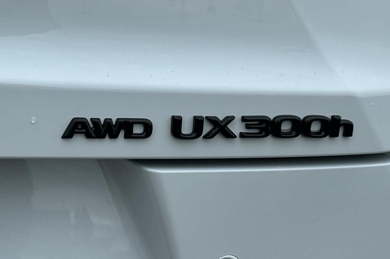 2026 Lexus UX 300h F SPORT Design Roseville CA