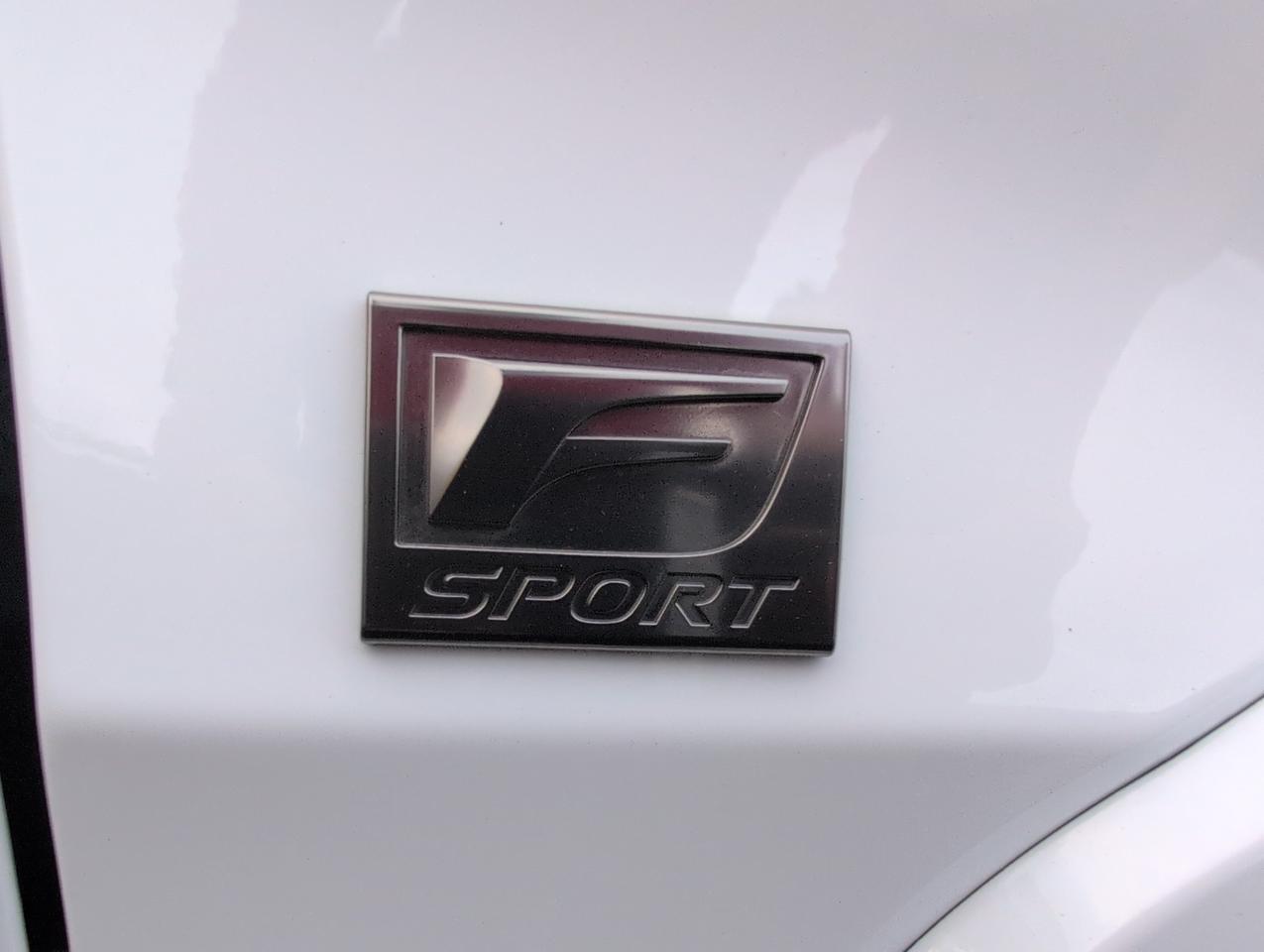 2026 Lexus UX 300h F SPORT Design San Antonio TX