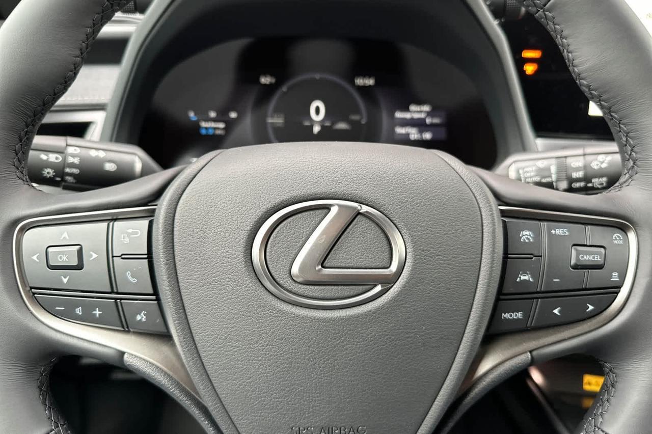 2026 Lexus UX 300h Premium Roseville CA
