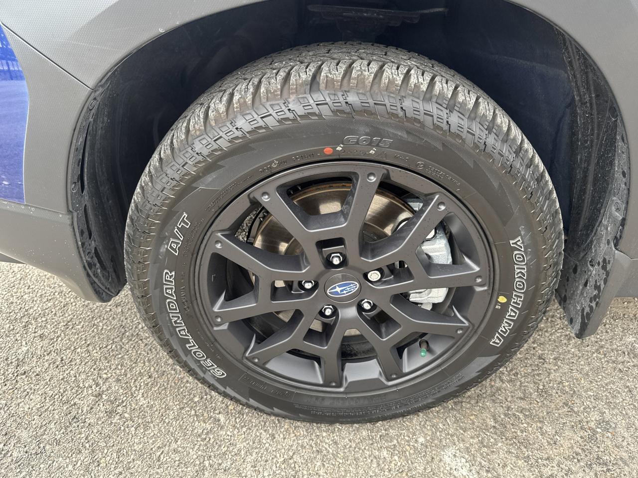 2026 Subaru Crosstrek Wilderness San Antonio TX