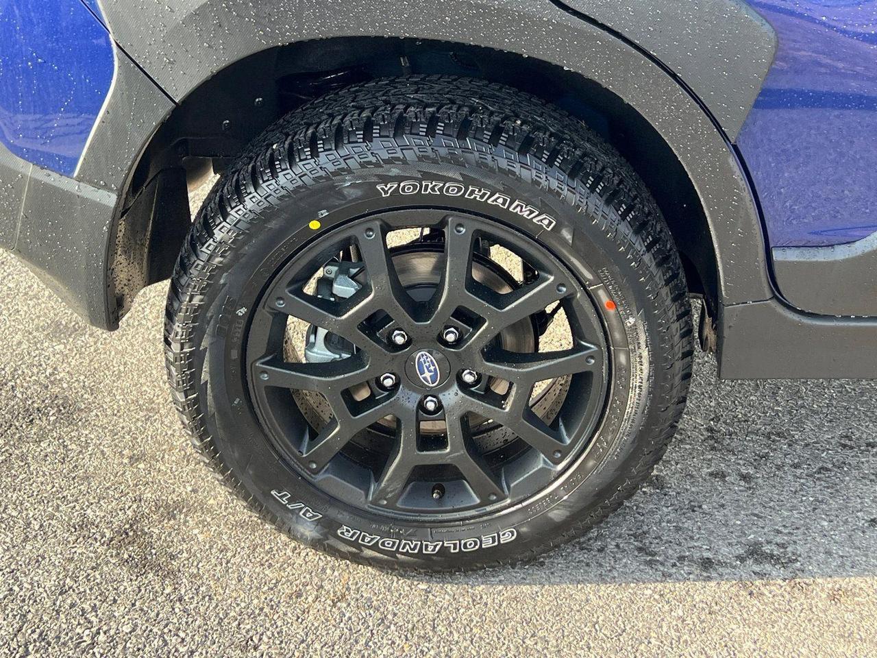 2026 Subaru Crosstrek Wilderness Hagerstown MD