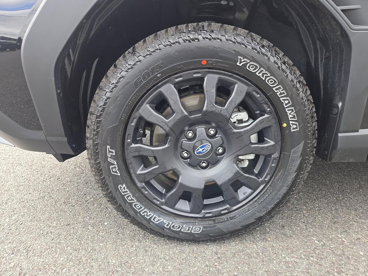 2026 Subaru Forester Wilderness Fredericksburg VA