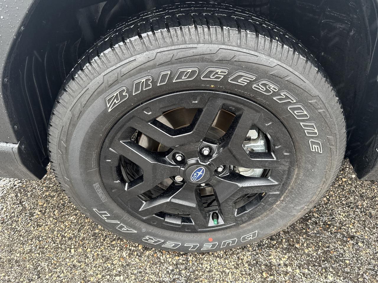 2026 Subaru Outback Wilderness San Antonio TX